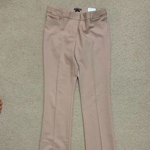 Express Columnist Pants